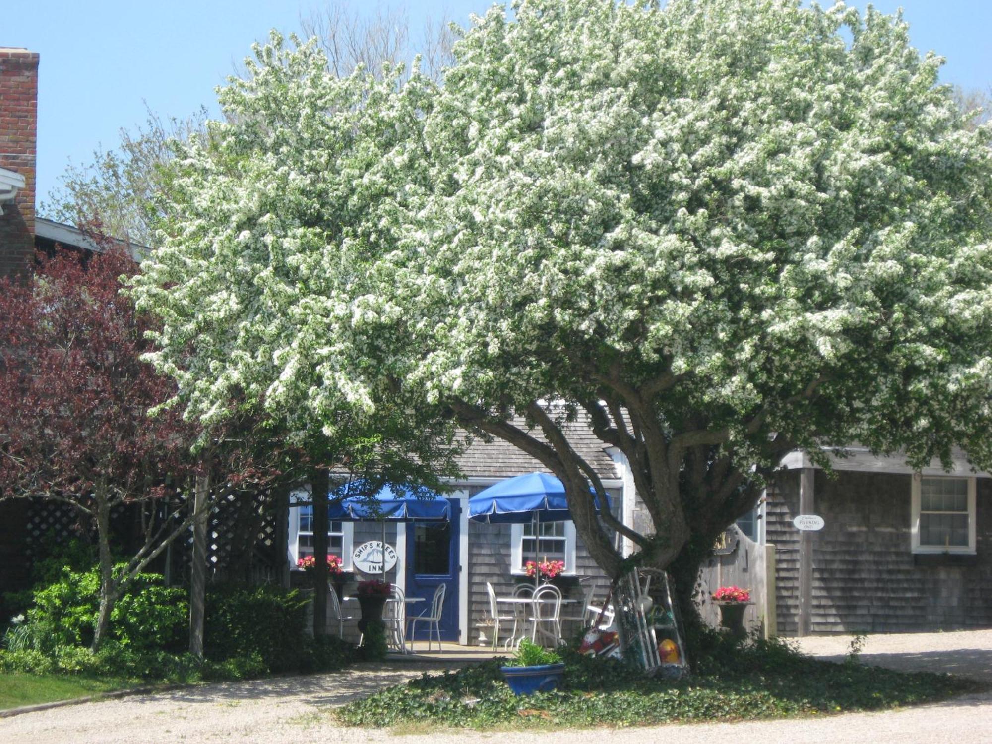 East Orleans Ship'S Knees Inn מראה חיצוני תמונה